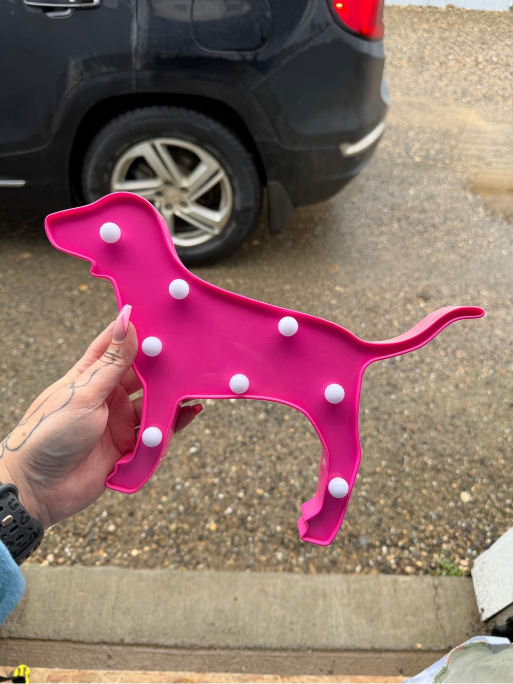 PINK Victoria's Secret Hot Pink Dog LED Accent Light